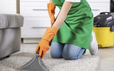 A multifuncionalidade da lavadora de carpetes
